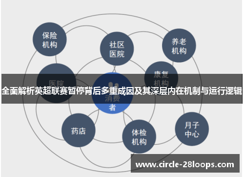 全面解析英超联赛暂停背后多重成因及其深层内在机制与运行逻辑