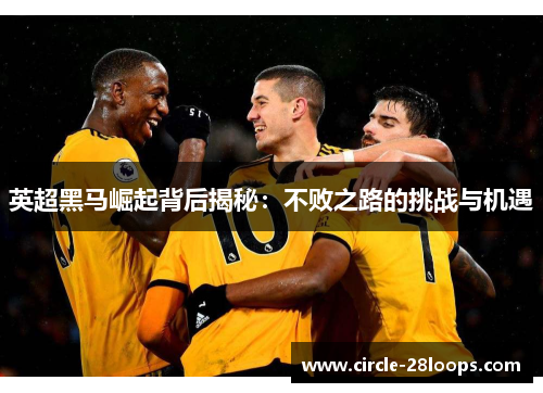 英超黑马崛起背后揭秘：不败之路的挑战与机遇